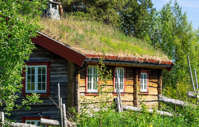 huis