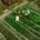 biologische landbouw