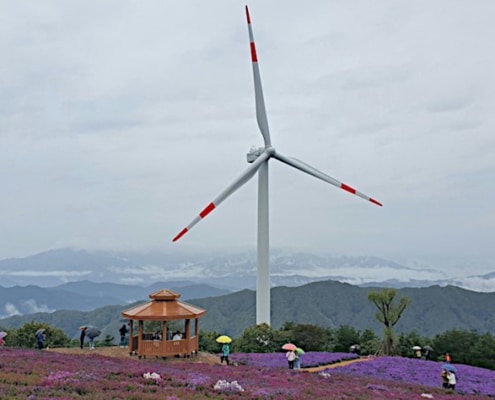 wind energie china