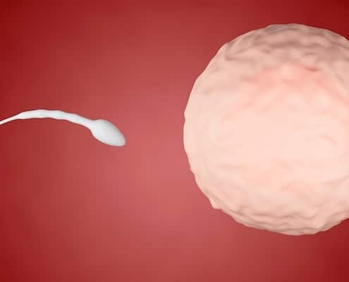 sperm