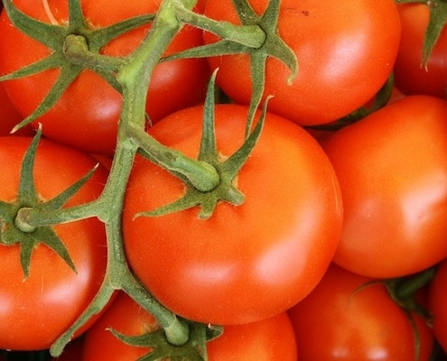 tomaten