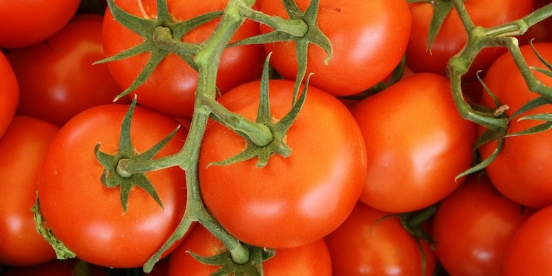 tomaten