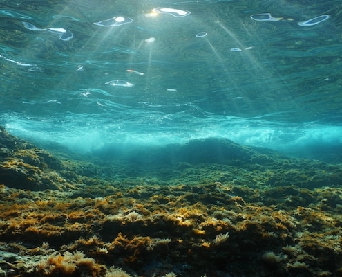 methaanlekken seeps onder Antarctica