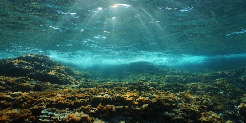 methaanlekken seeps onder Antarctica