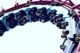 rollercoaster