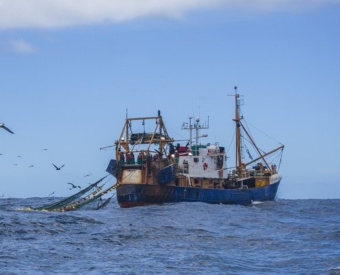 trawling vissersboot