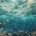 microplastic