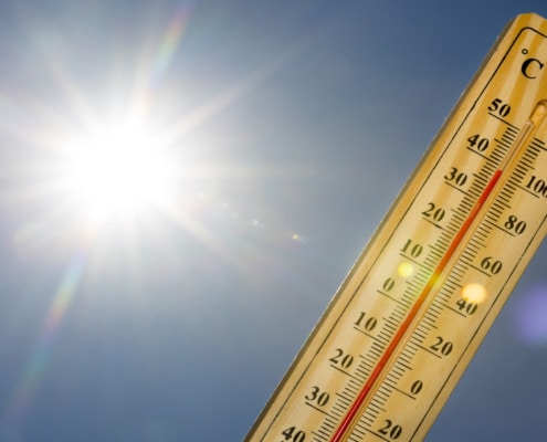39 graden tijdens de hittegolf