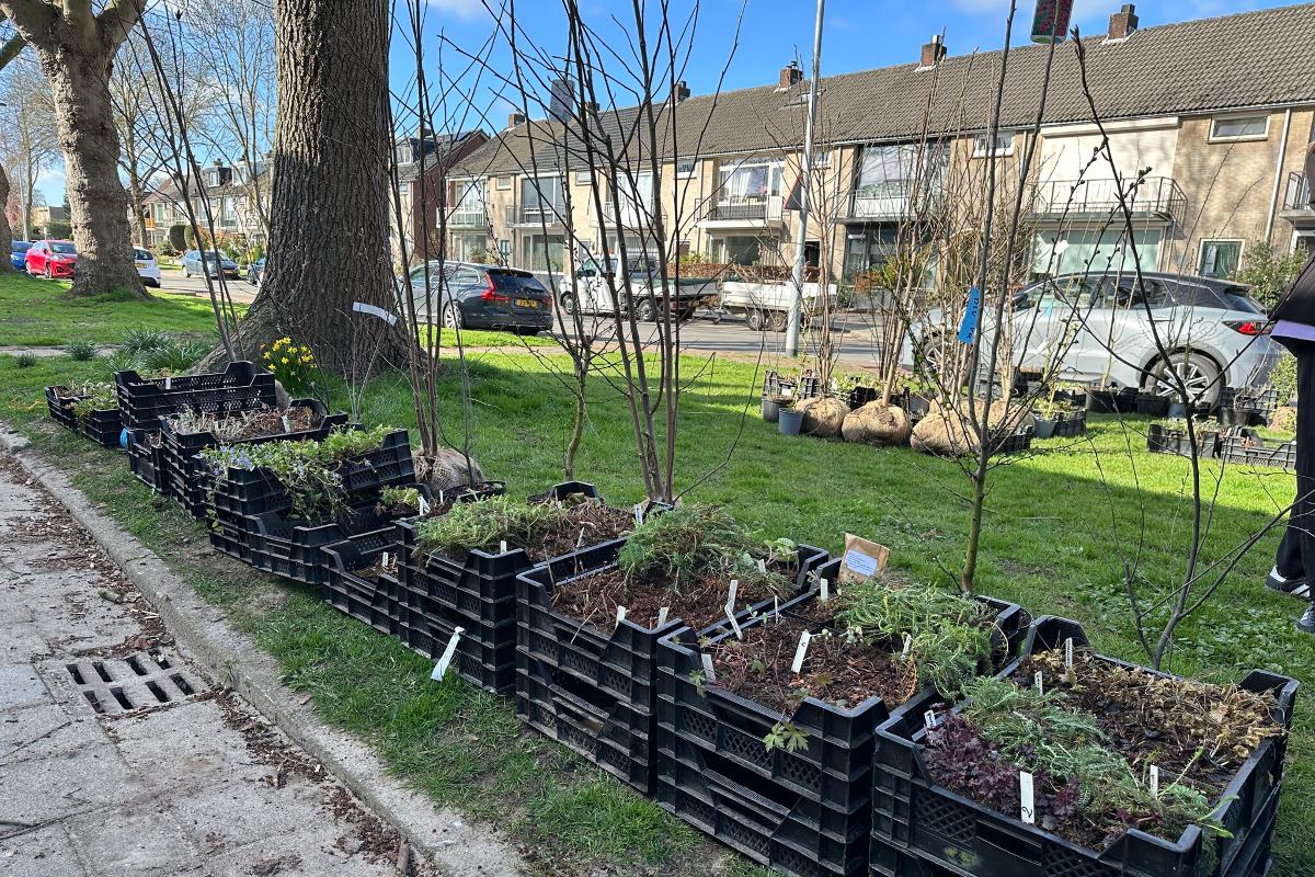 Moestuin in Dordrecht met verhoogde PFAS-waarden.