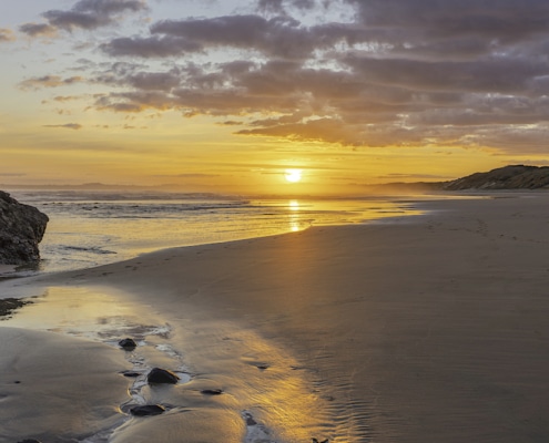 forrest beach vindplaats van ruimtepuin