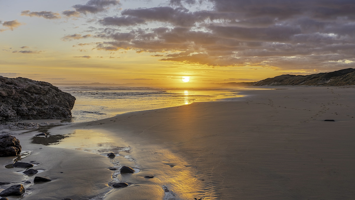 forrest beach vindplaats van ruimtepuin