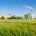 groene industrie wordt benadeeld door EU regels