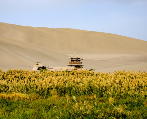groene muur in de woestijn van china