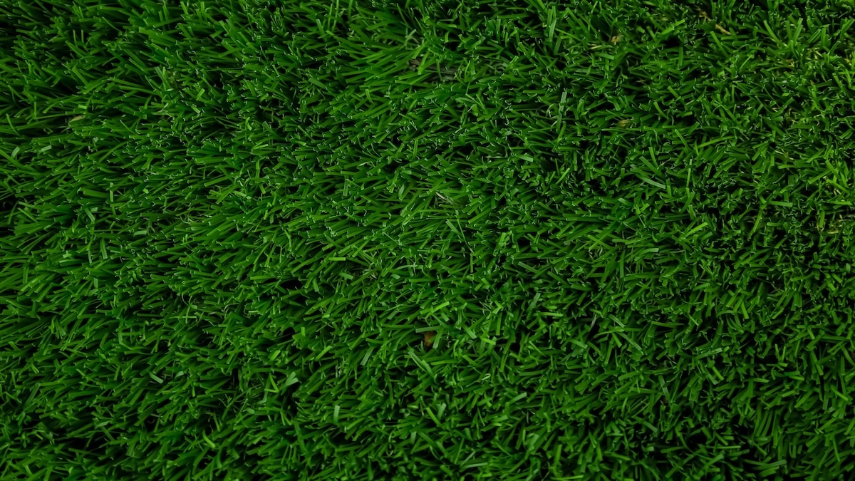 kunstgras