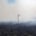 landschap na een bosbrand