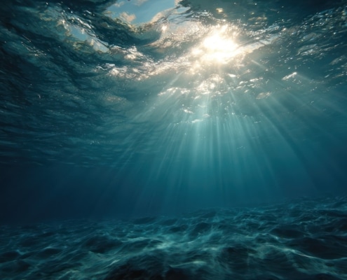 microben kunnen co2 opslaan op de zeebodem