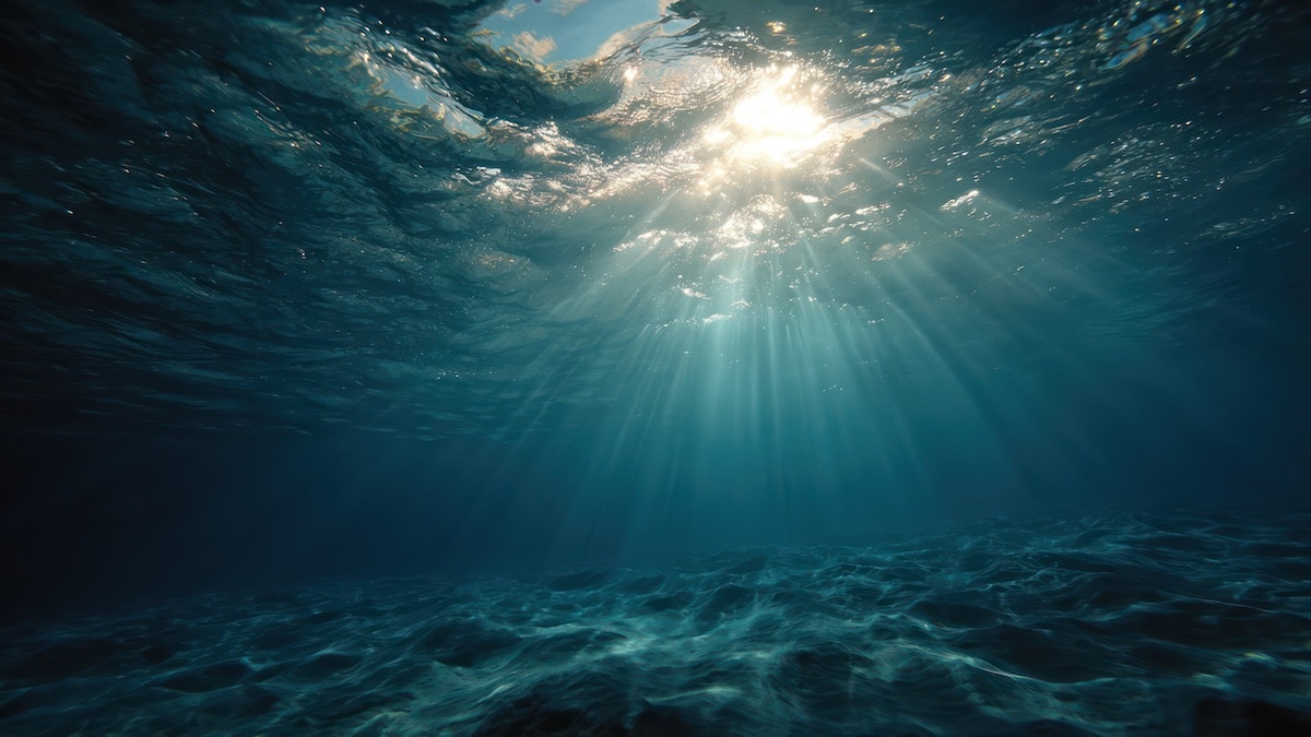 microben kunnen co2 opslaan op de zeebodem