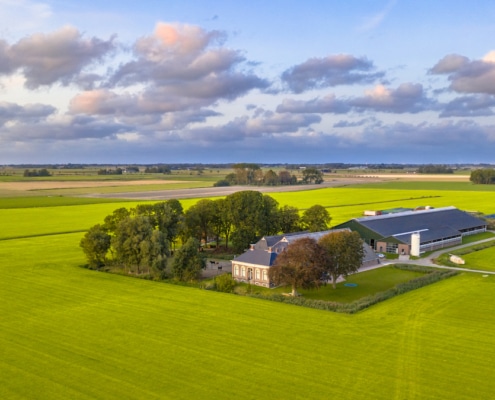 mycelium onder graslanden