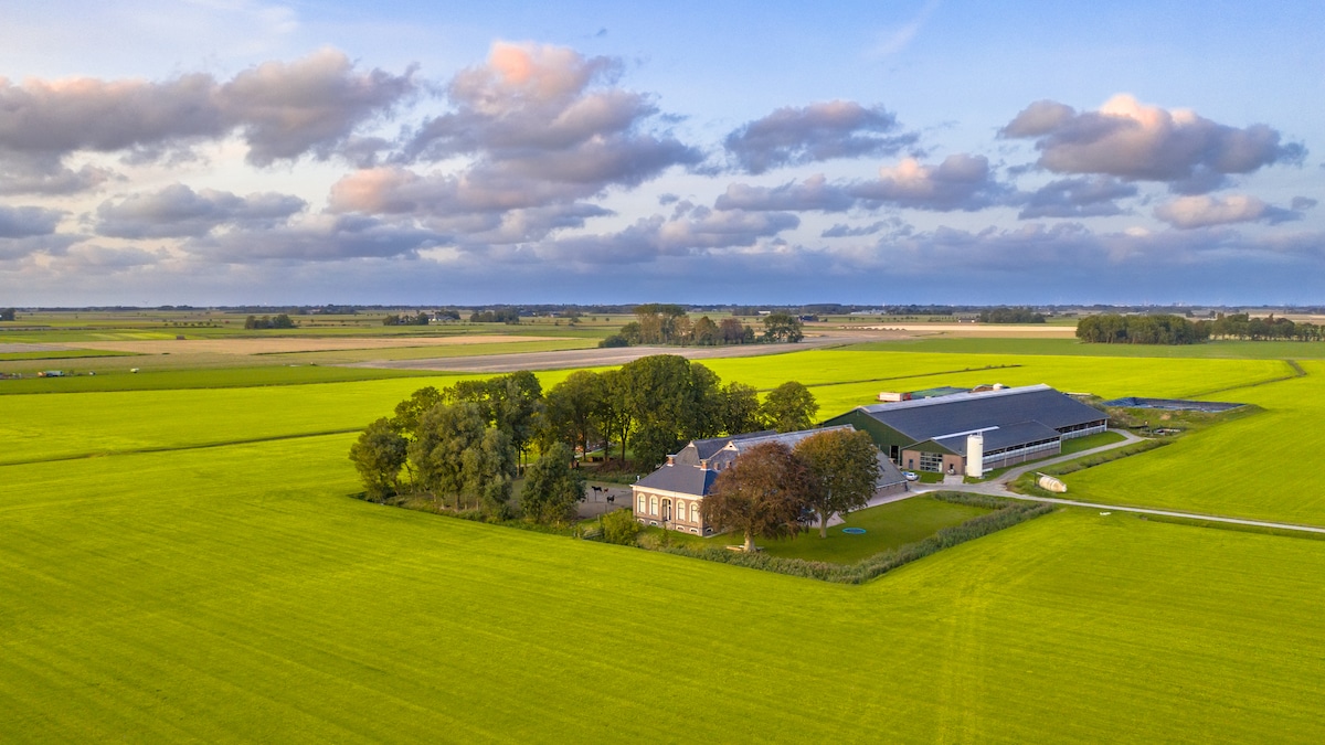 mycelium onder graslanden