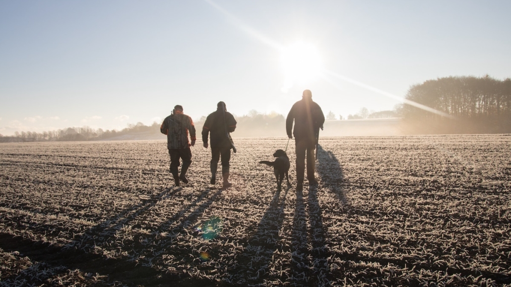 op zoek naar hulbaelter in denemarken