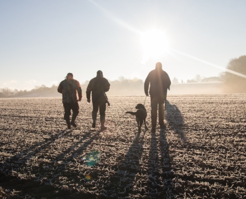 op zoek naar hulbaelter in denemarken