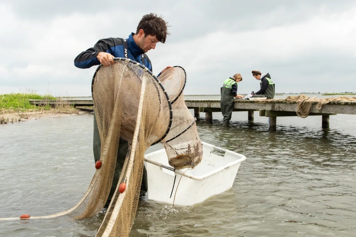 Waterkwaliteitsmonitoringstation in Nederland.