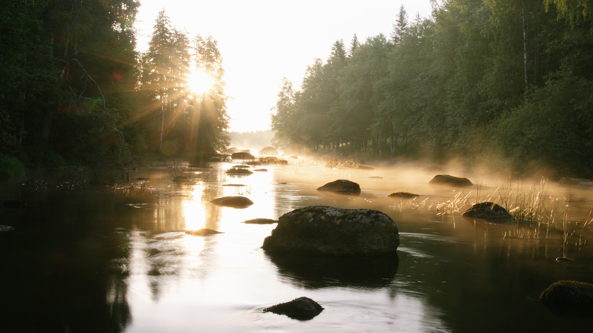 warmer water houdt minder zuurstof vast