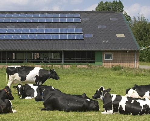 zonnepanelen recyclen