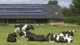 zonnepanelen recyclen