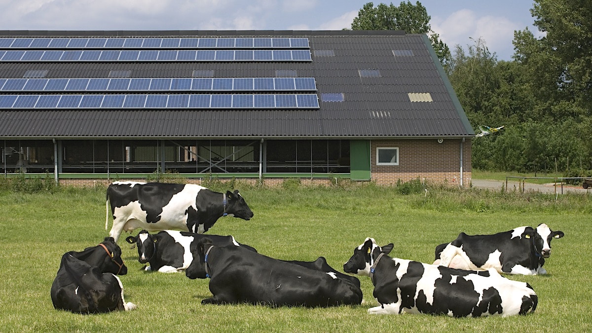 zonnepanelen recyclen