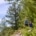 bossen nemen minder co2 op