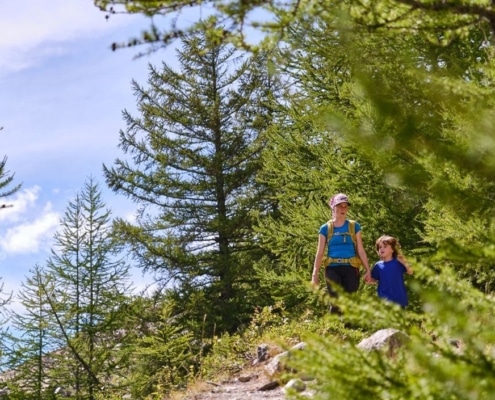 bossen nemen minder co2 op