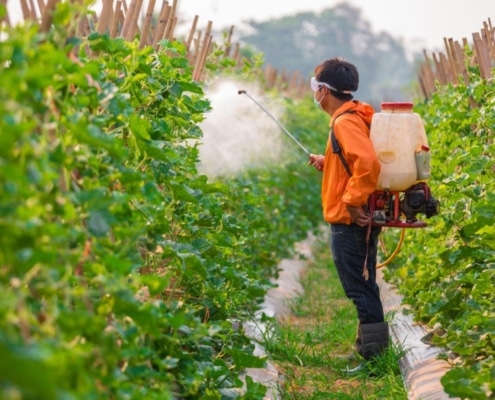Landbouwarbeiders spuiten pesticiden onder hoge temperaturen.