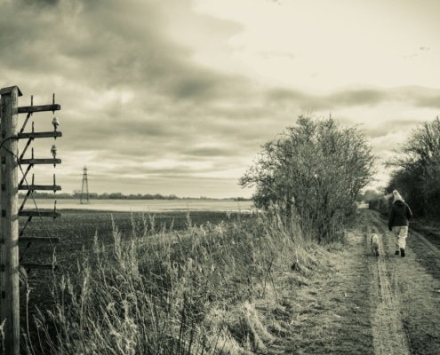 telegraafpaal