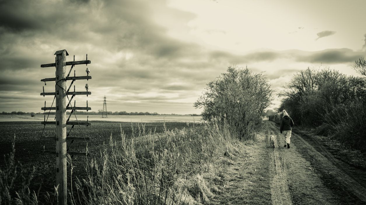 telegraafpaal