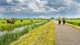 Zomer in Nederland