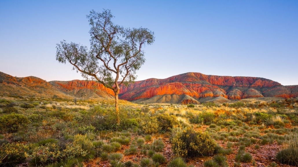 natuur in Australie
