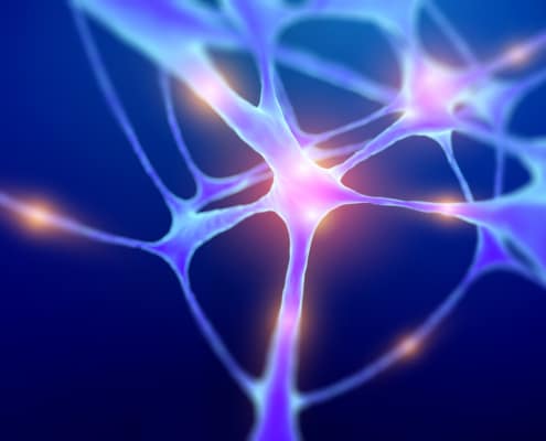 neuronen