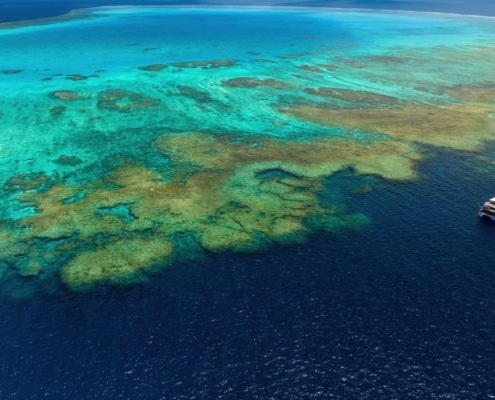 Reef in de Stille Oceaan
