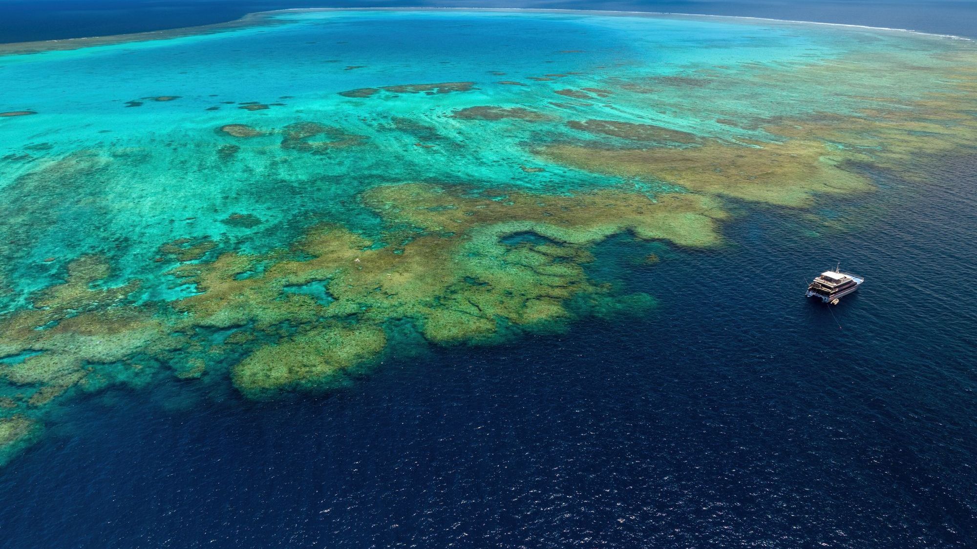 Reef in de Stille Oceaan