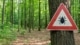 gevaar voor teken in het bos