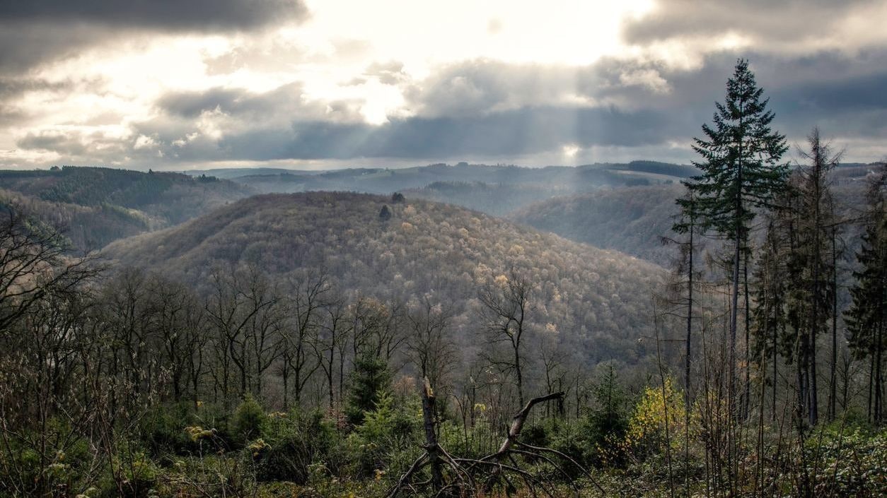 ardennen