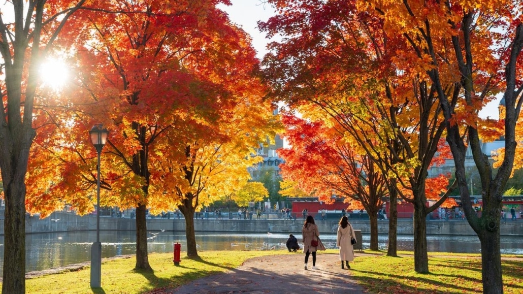 Herfstkleuren