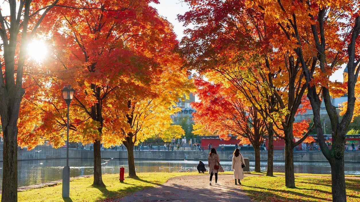Herfstkleuren