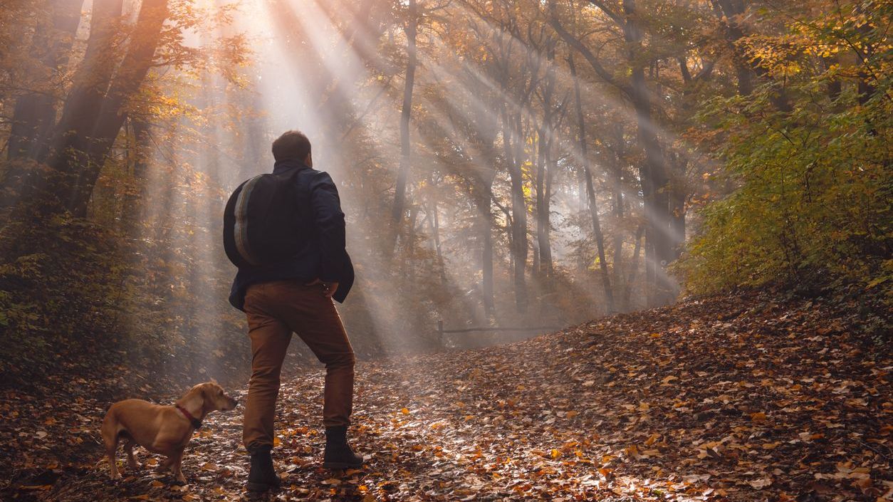 herfstweer