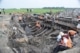 Archeologen van de Rijksuniversiteit Groningen bij de opgraving van het scheepswrak 'Queen Anne' in Flevoland.