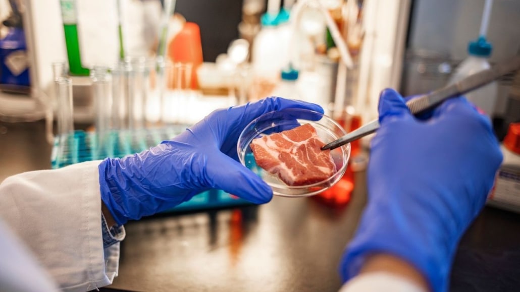 vlees uit het lab