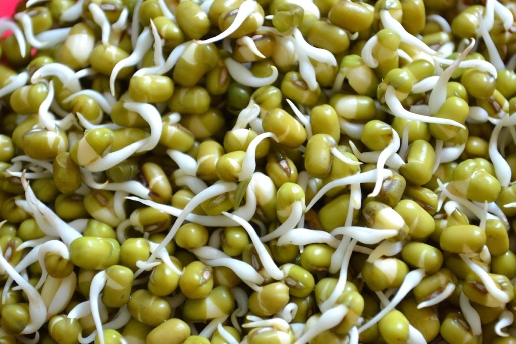 Close-up van mungboonkiemen (taugé).